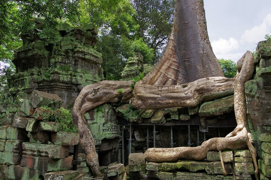 ta prohm 3