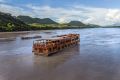 mekong pearl 9