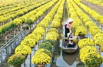 siem reap to saigon cruises 7