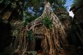 ta prohm 2