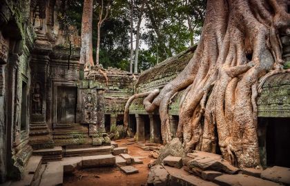 ta prohm