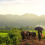 Chau Doc - Explore the Gateway between Vietnam and Cambodia