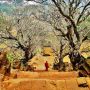 Vat Phou Temple - The Remnant of Khmer Empire in Laos