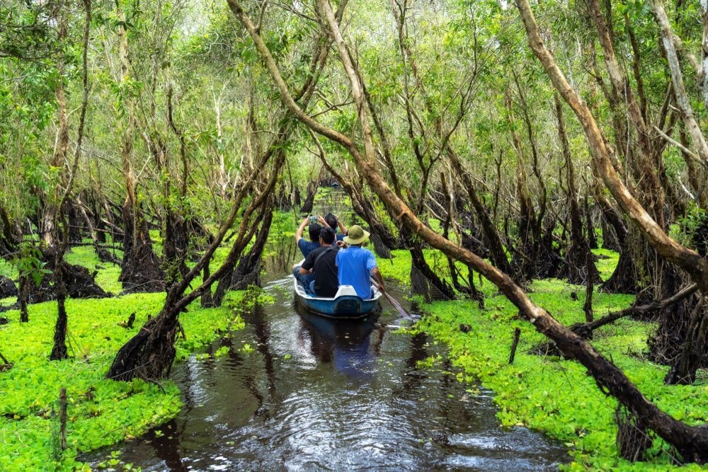 Traveler sightseeing over the traditional boat in Tra Su forest, Mekong Delta travel, Vietnam