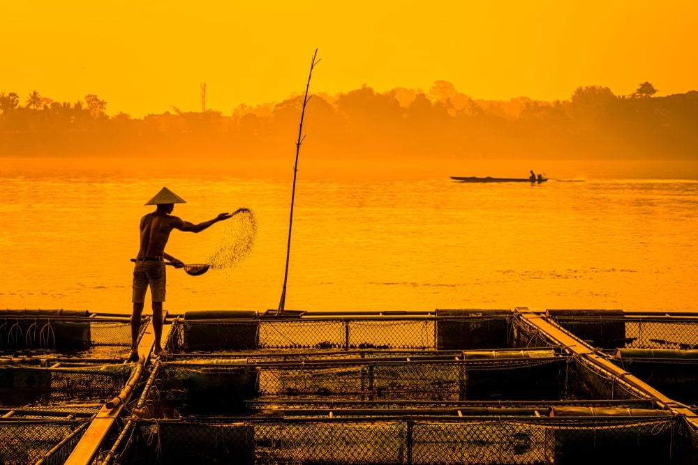 facts about mekong river 7