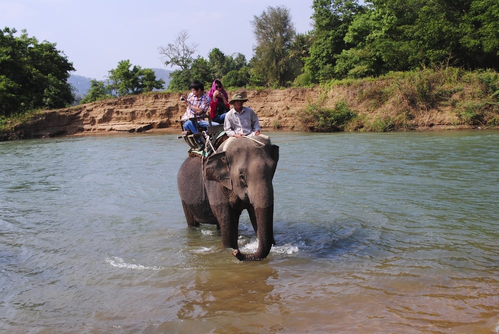 Tourists riding elephant through Serepok River