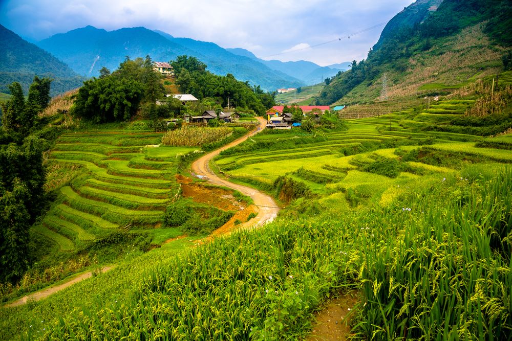 Beautiful scenery of the rice fields of Cat Cat Village